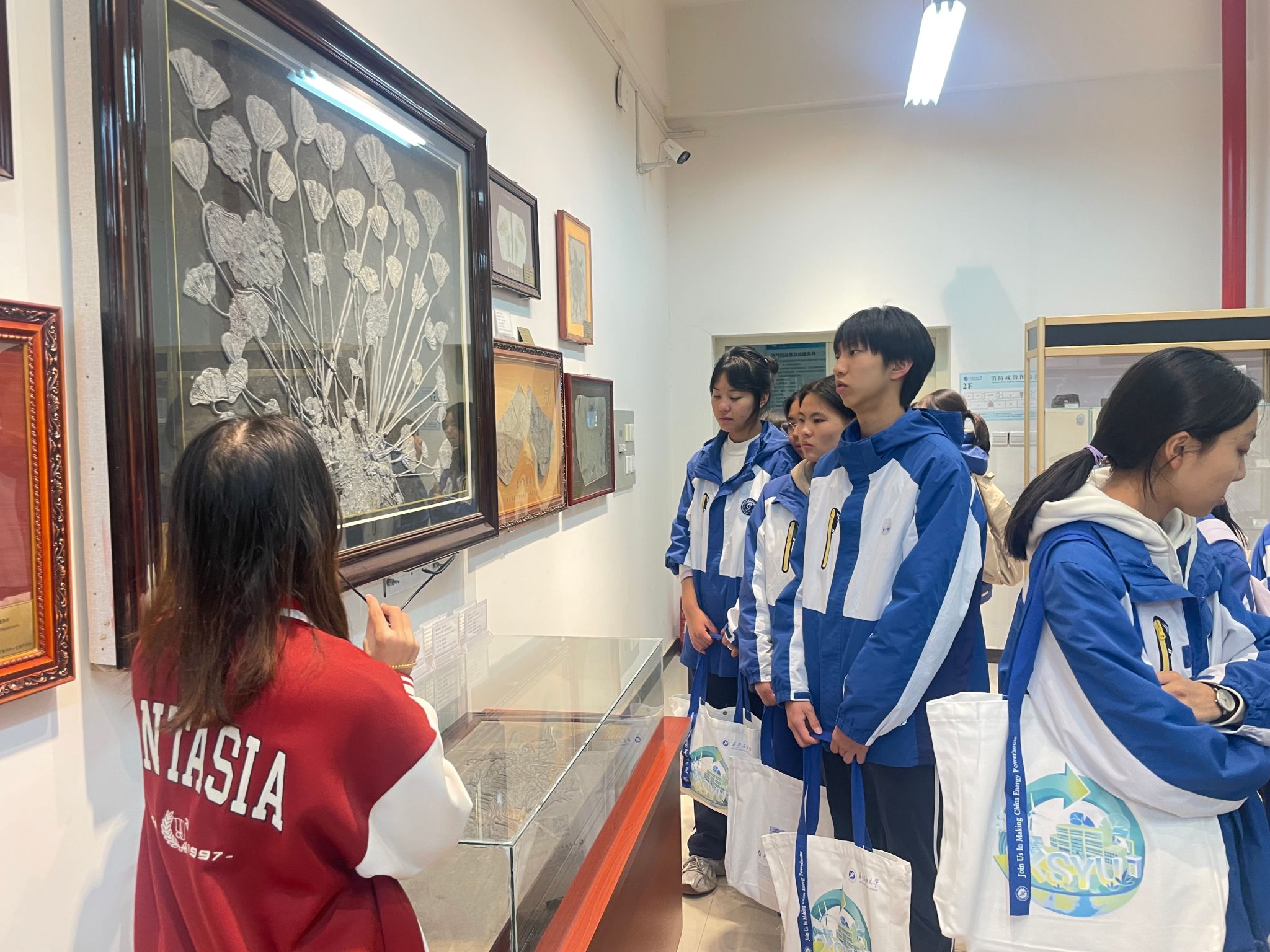 2026世界杯投注平台