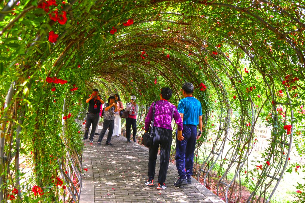 2026世界杯投注平台