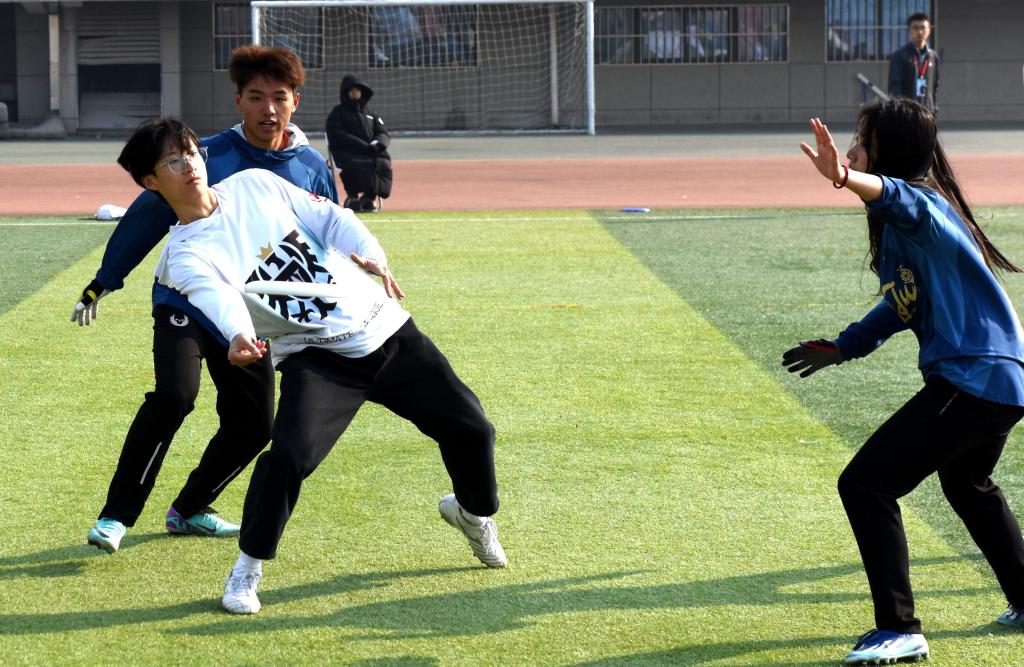 2026世界杯投注平台