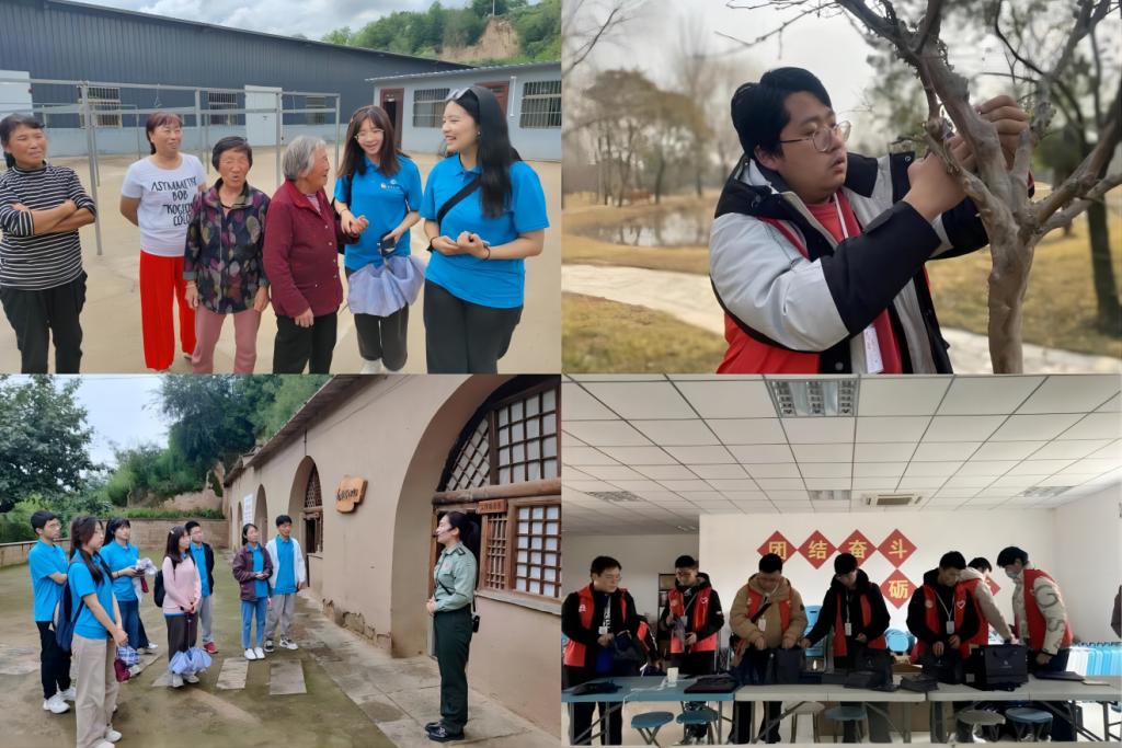 2026世界杯投注平台