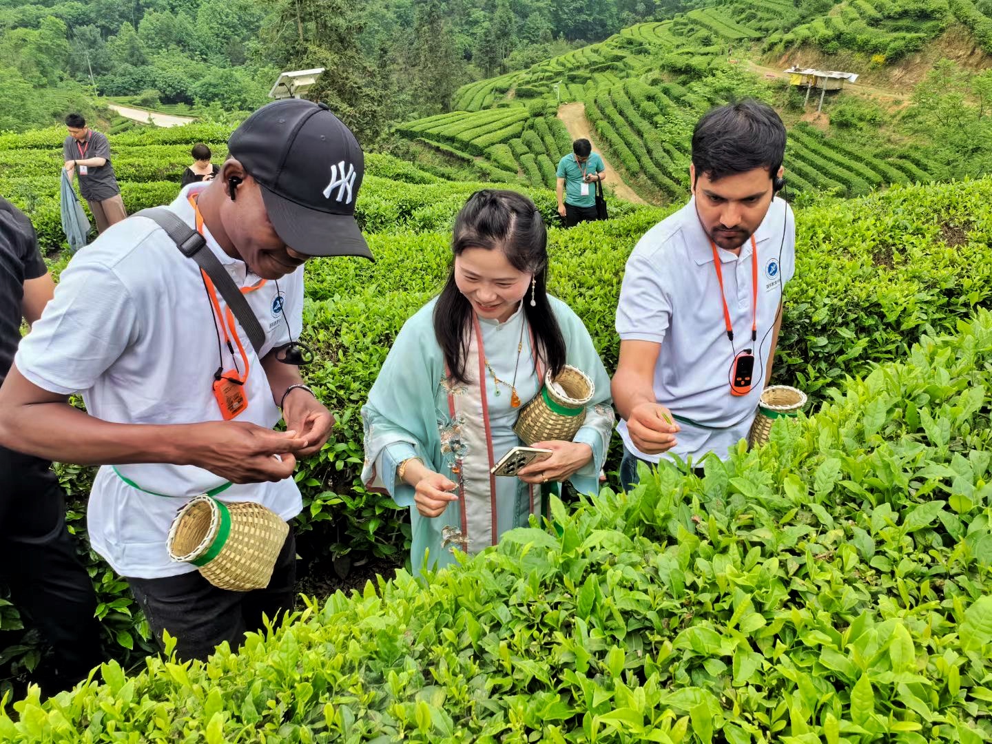 2026世界杯投注平台