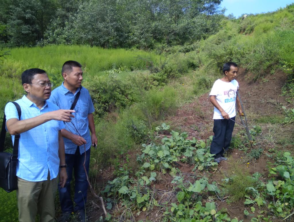 2026世界杯投注平台