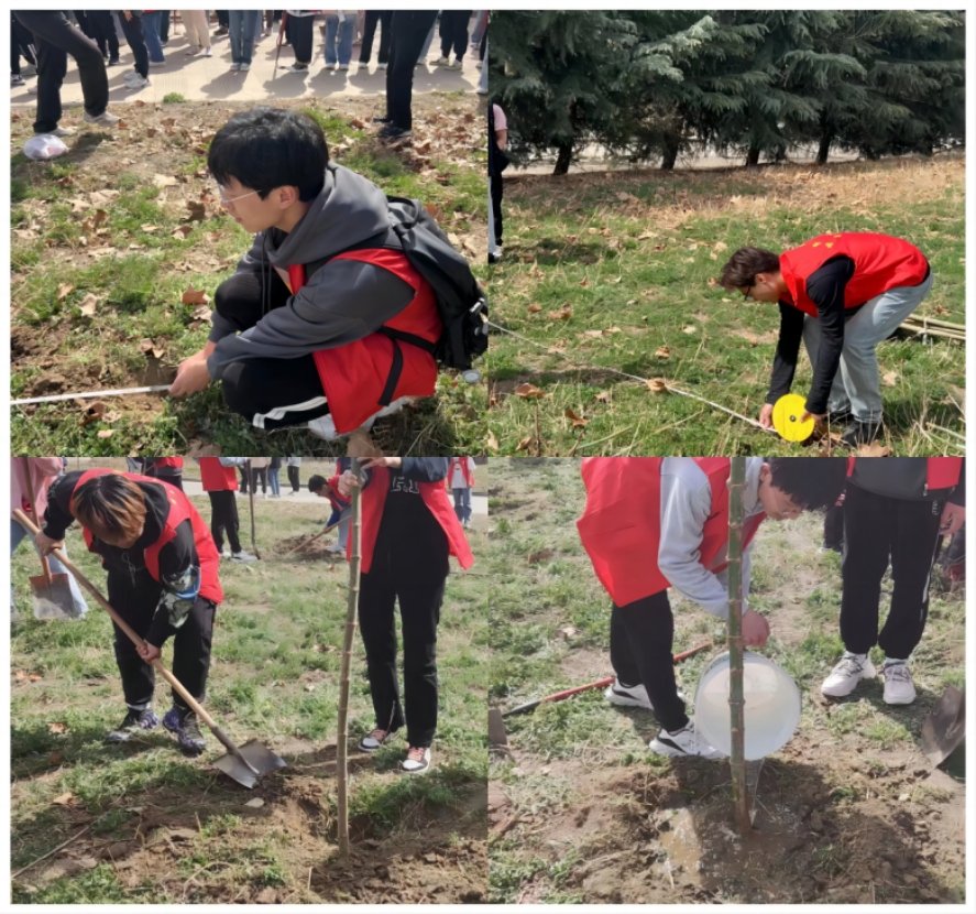 2026世界杯投注平台