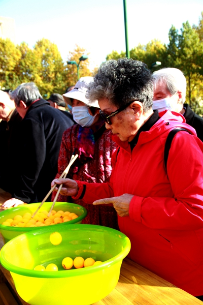 2026世界杯投注平台