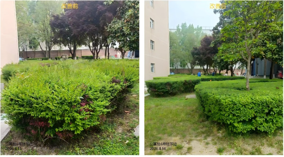 2026世界杯投注平台