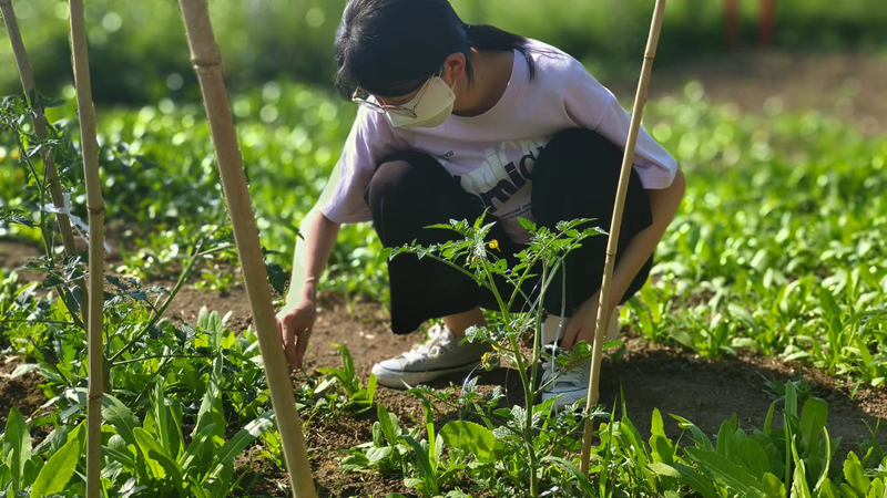 2026世界杯投注平台