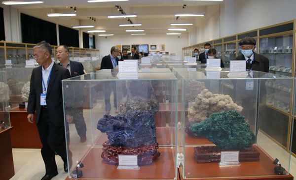 2026世界杯投注平台