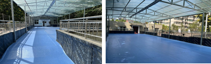 2026世界杯投注平台