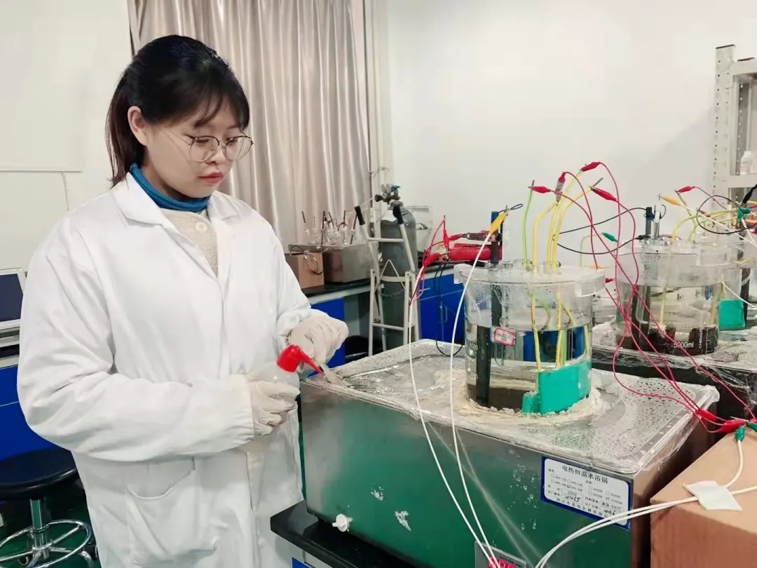 2026世界杯投注平台