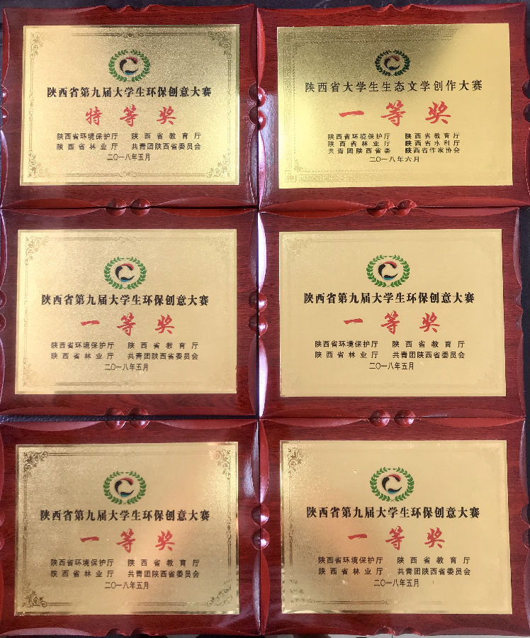 奖状3.jpg 2026世界杯投注平台