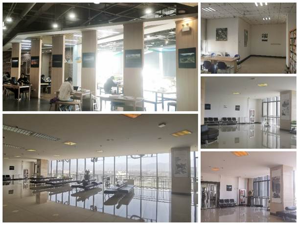 2026世界杯投注平台