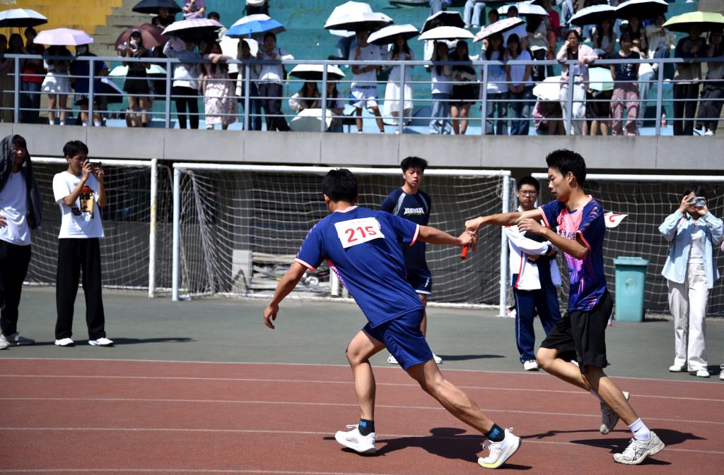 2026世界杯投注平台