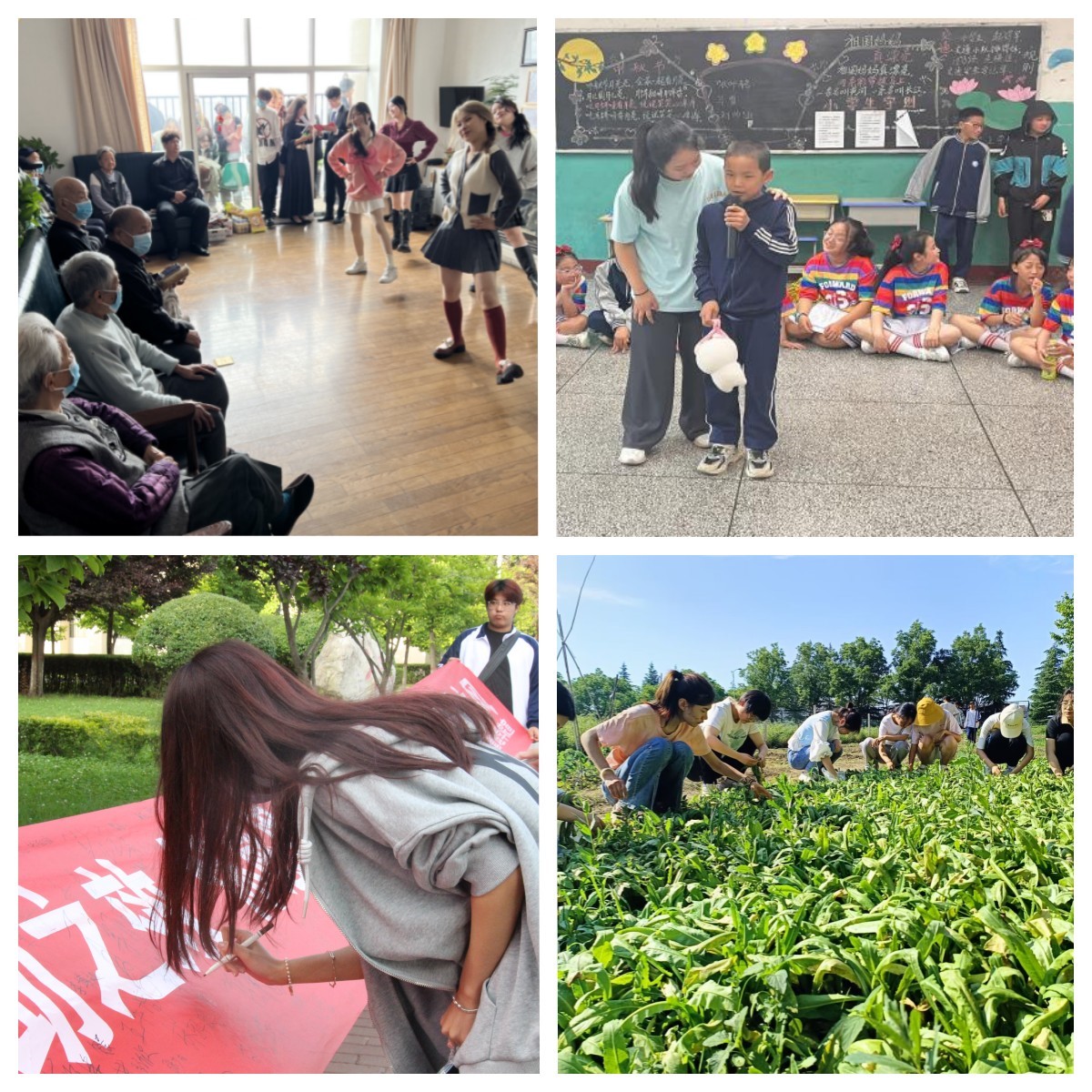 2026世界杯投注平台