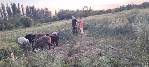 2026世界杯投注平台