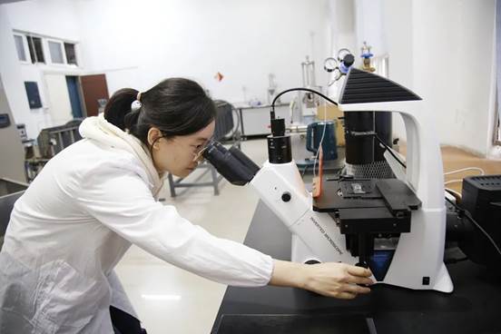 2026世界杯投注平台