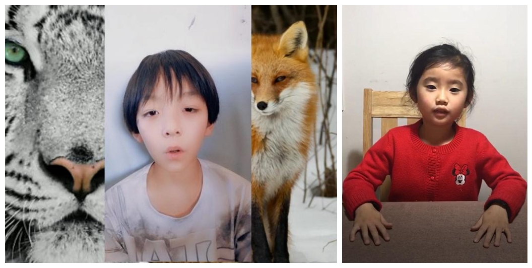 2026世界杯投注平台