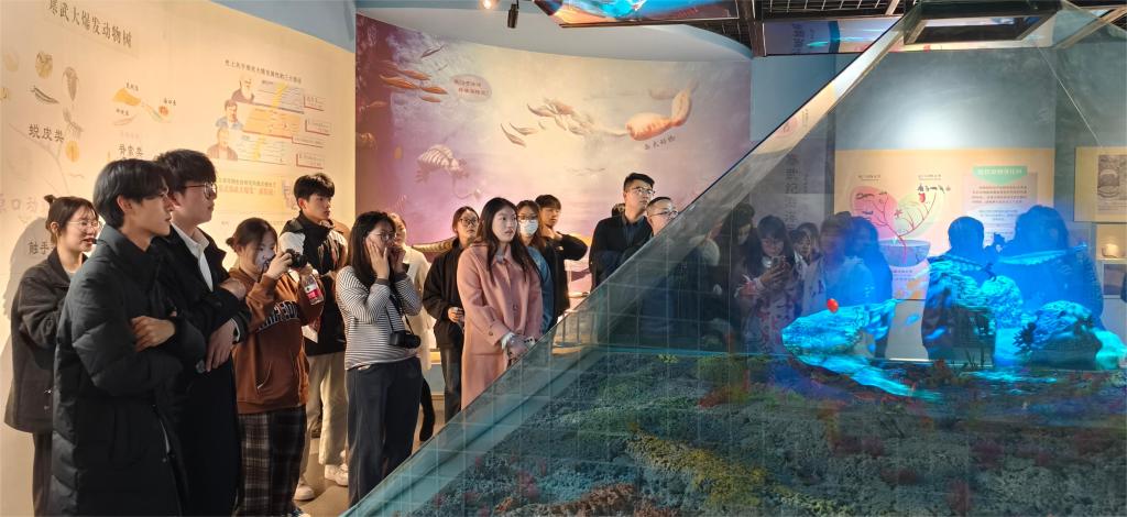 2026世界杯投注平台