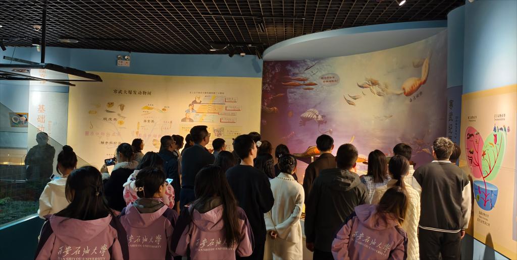 2026世界杯投注平台