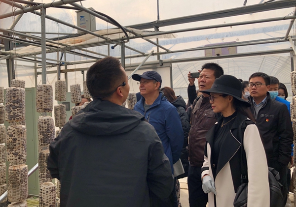 2026世界杯投注平台