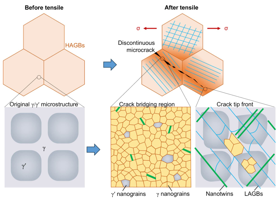 2026世界杯投注平台