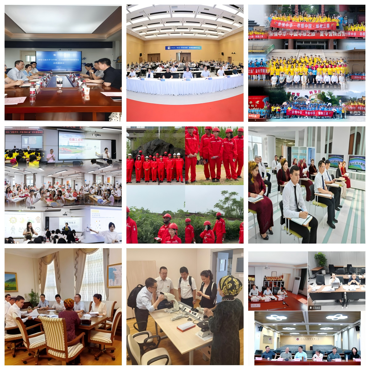 2026世界杯投注平台