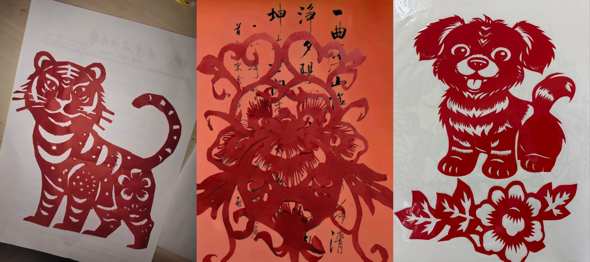 2026世界杯投注平台