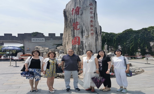 2026世界杯投注平台