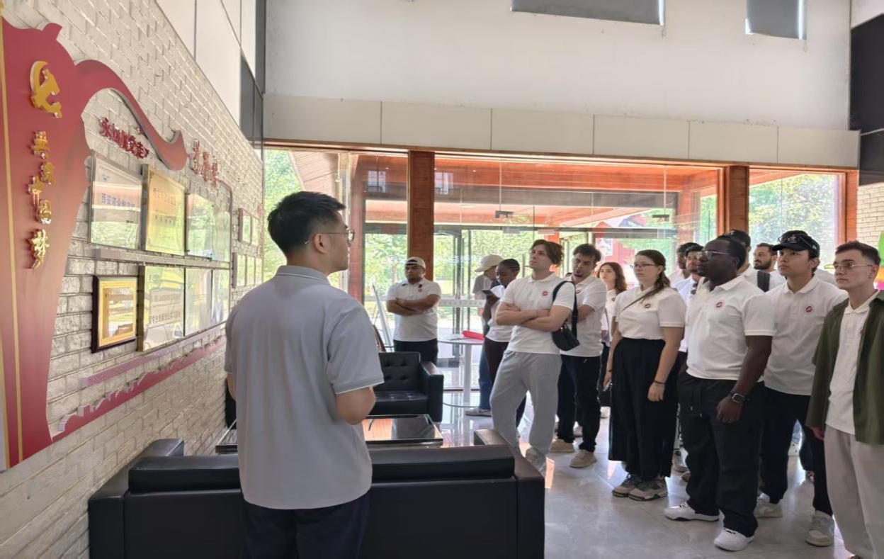 2026世界杯投注平台