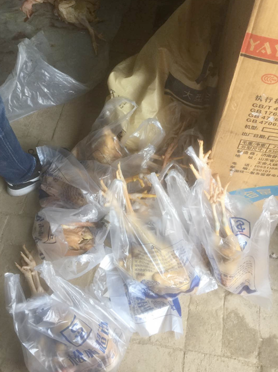 2026世界杯投注平台