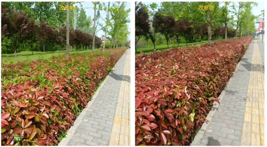 2026世界杯投注平台