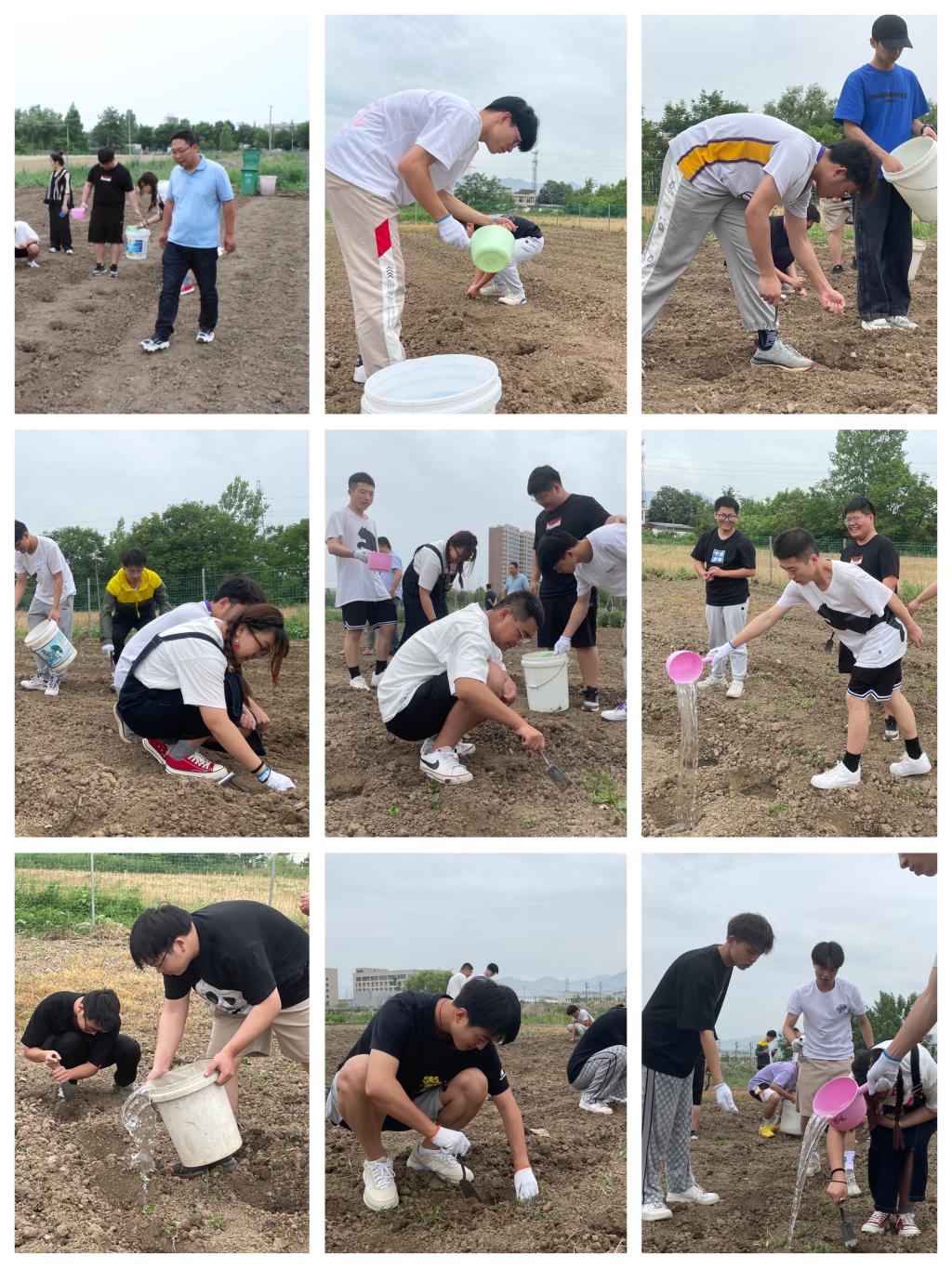 2026世界杯投注平台