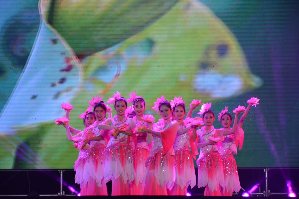 2026世界杯投注平台