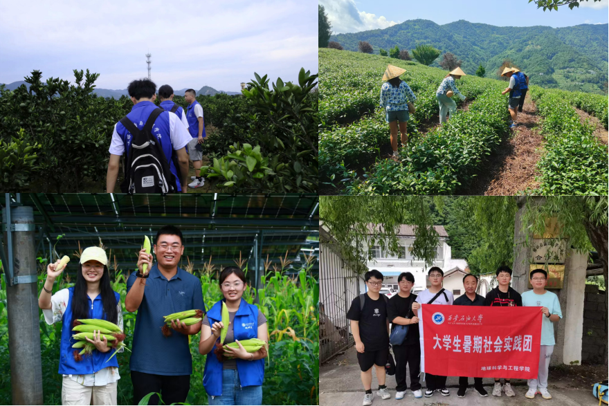 2026世界杯投注平台