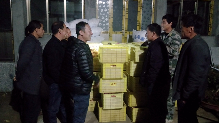 2026世界杯投注平台