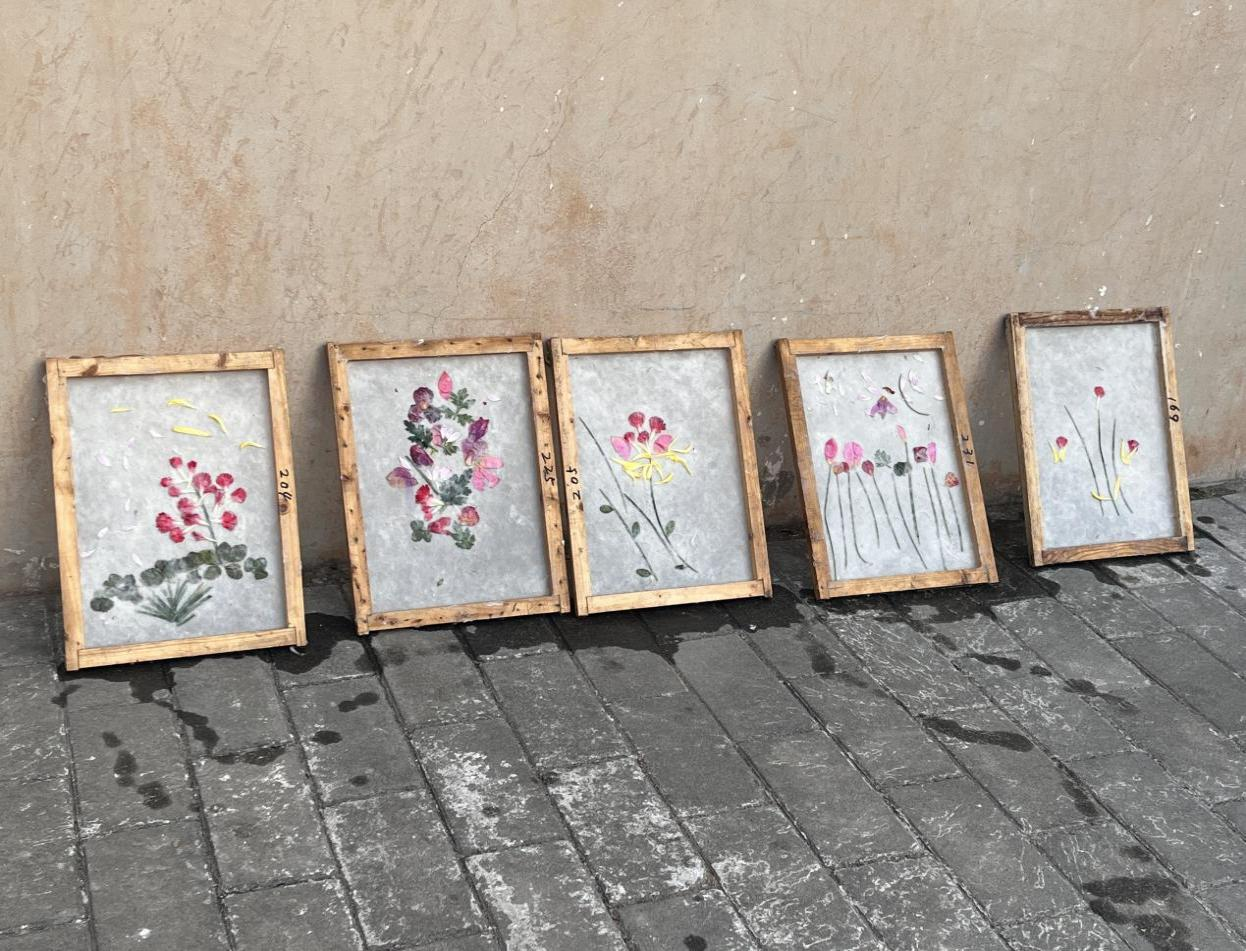 2026世界杯投注平台