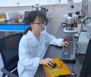 2026世界杯投注平台