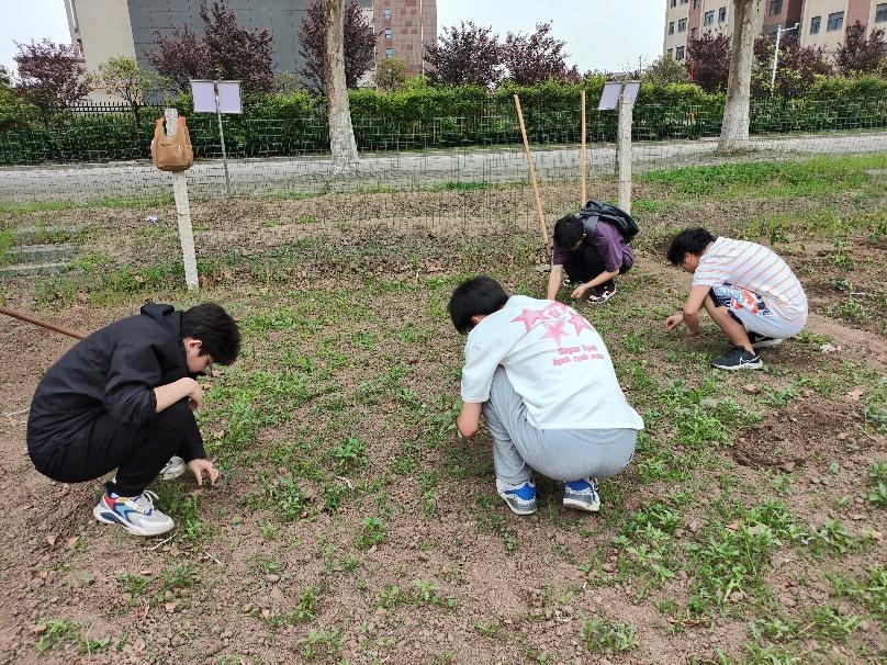 2026世界杯投注平台