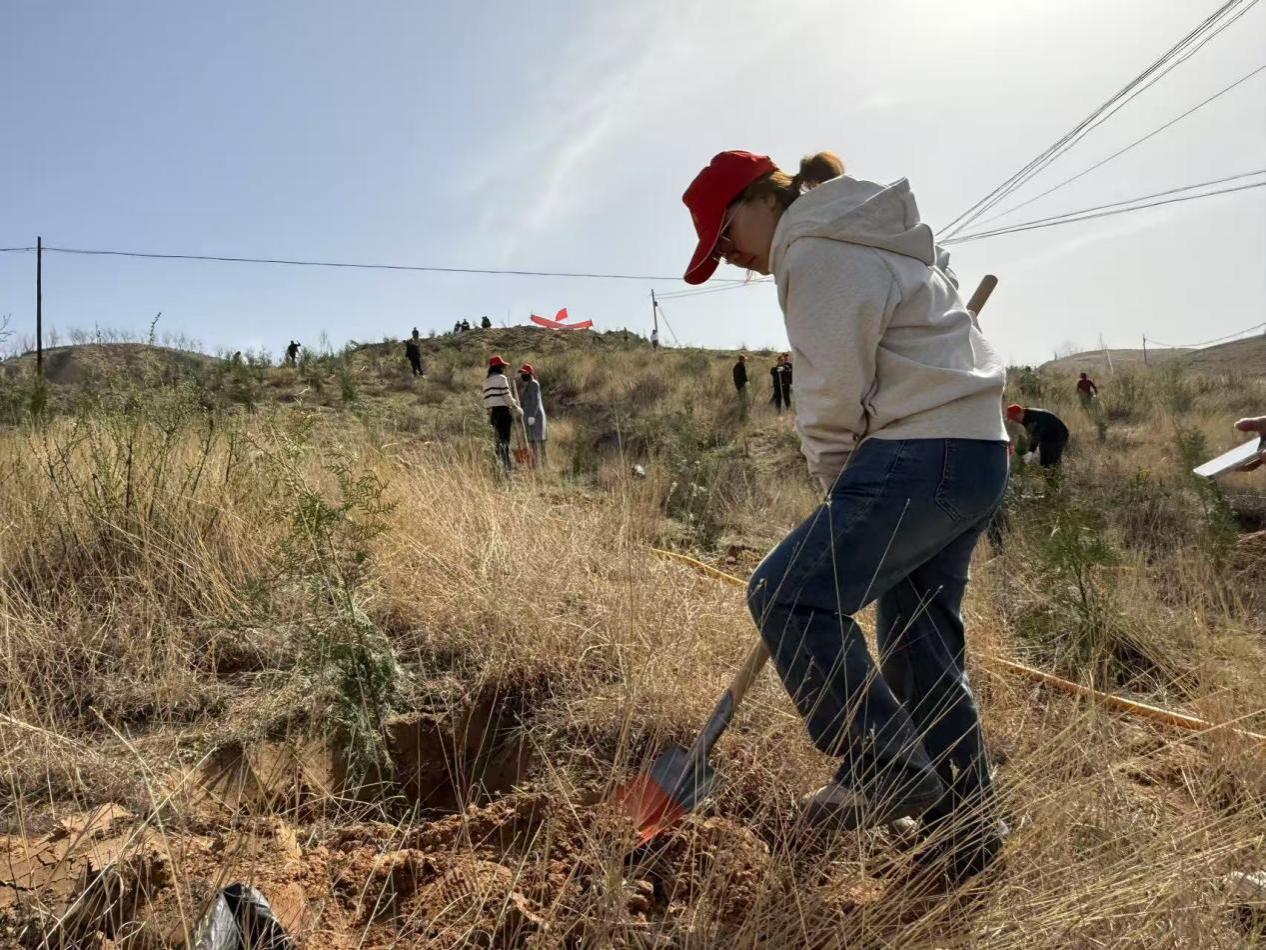 2026世界杯投注平台