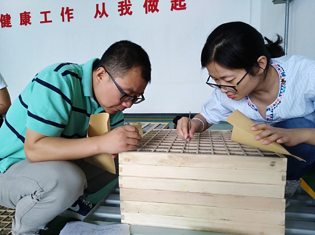 2026世界杯投注平台