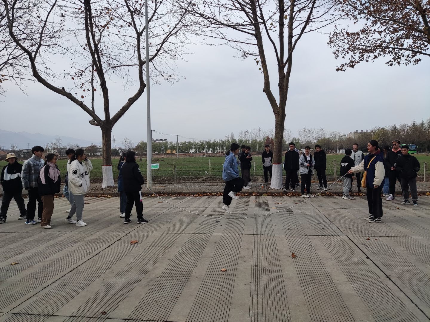 2026世界杯投注平台