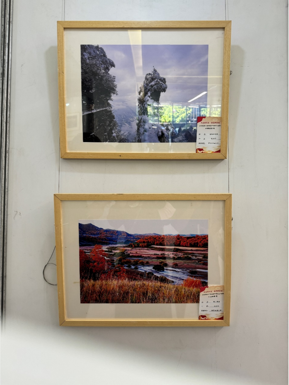 2026世界杯投注平台