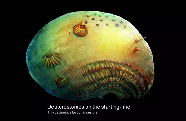 自然杂志33333.jpg 2026世界杯投注平台