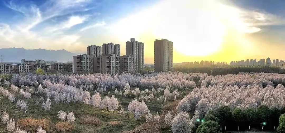 2026世界杯投注平台