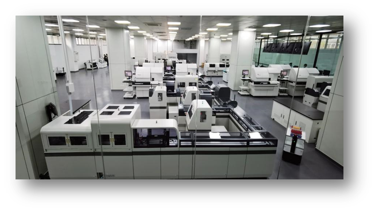 2026世界杯投注平台