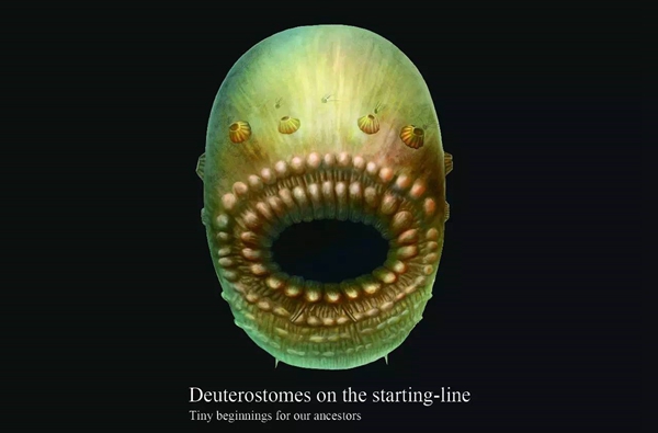 自然杂志22222.jpg 2026世界杯投注平台