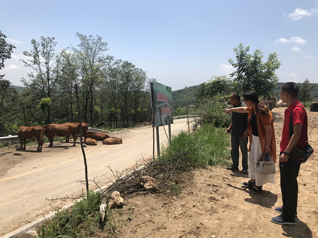 2026世界杯投注平台