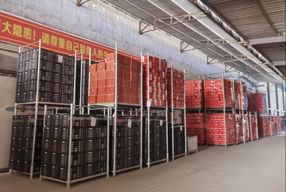 2026世界杯投注平台