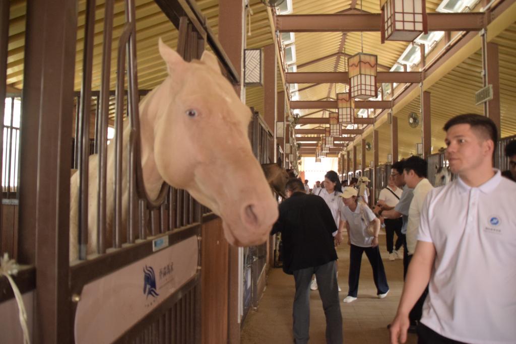 2026世界杯投注平台