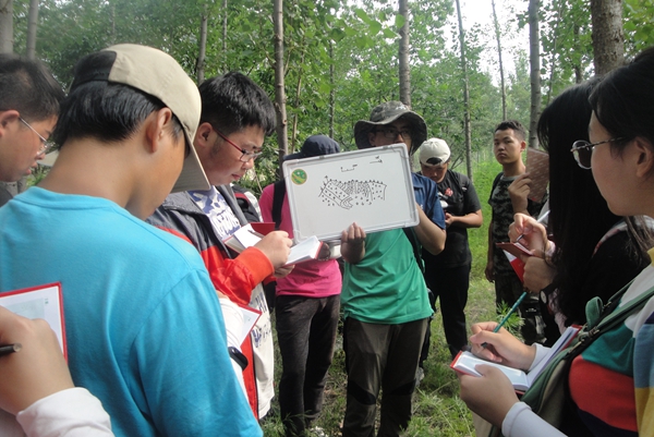 2026世界杯投注平台