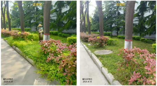 2026世界杯投注平台